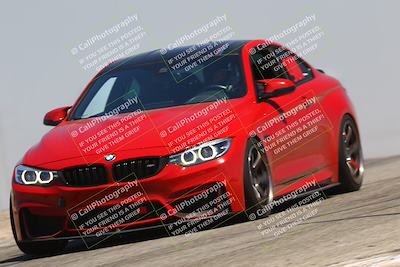 media/Jul-26-2025-Speed Ventures (Sat) [[fe569e6cf0]]/Red Group/Grapevine/